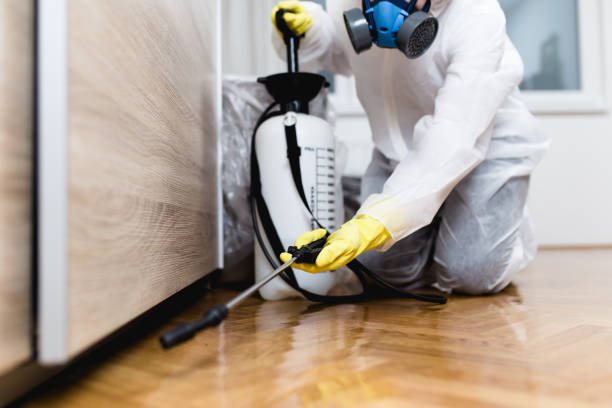 Best Wasp Removal Services  in Lehi, UT