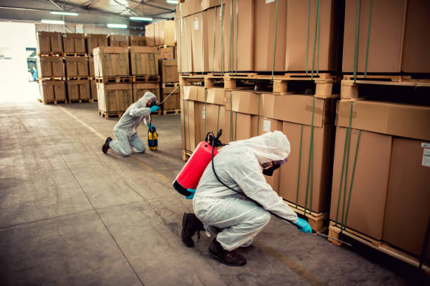 Best Flea Control Services  in Lehi, UT