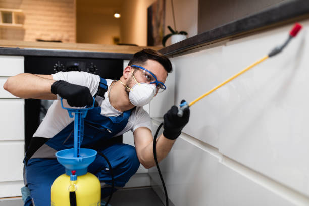 Best Bed Bug Extermination  in Lehi, UT