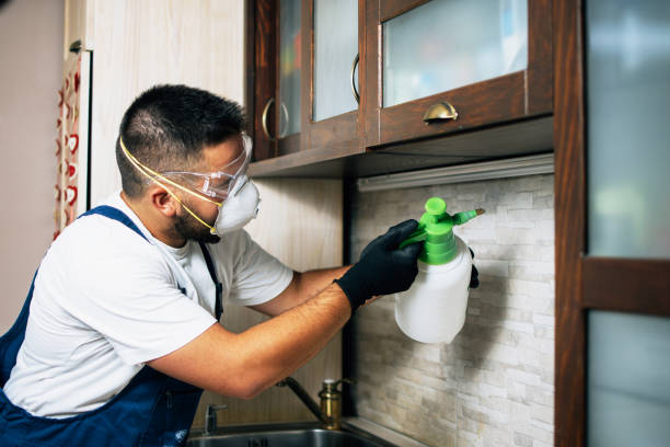 Best Rat Extermination Near Me  in Lehi, UT
